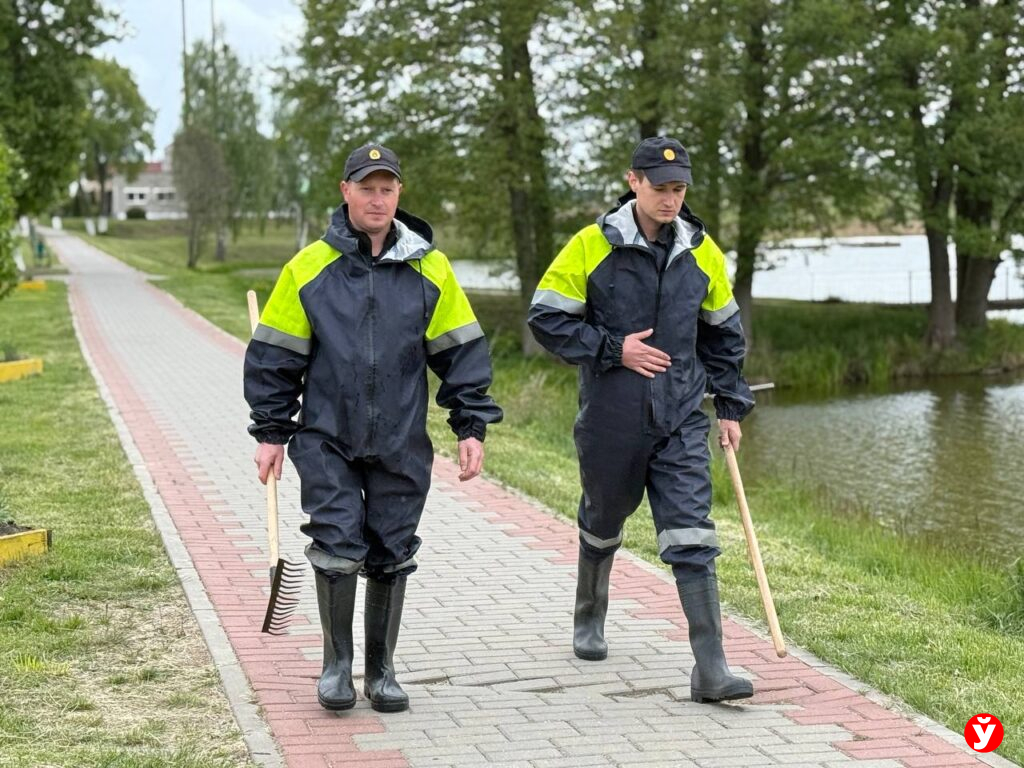 Столбцы